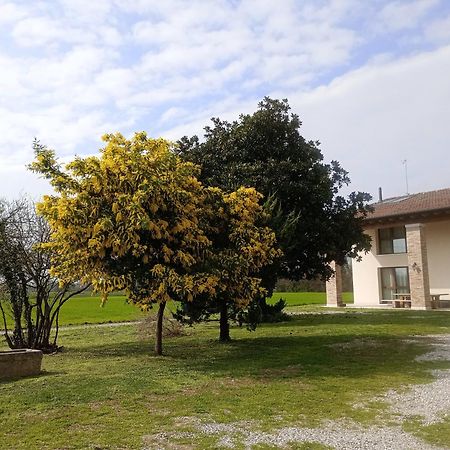 Agriturismo Trabucco Casale sul Sile Eksteriør billede