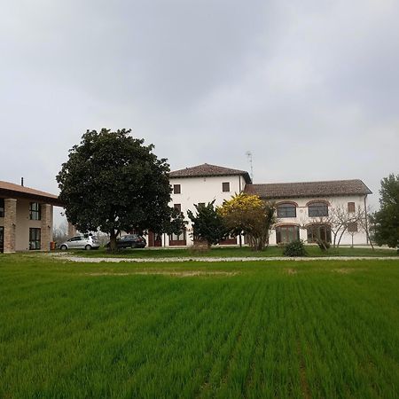 Agriturismo Trabucco Casale sul Sile Eksteriør billede